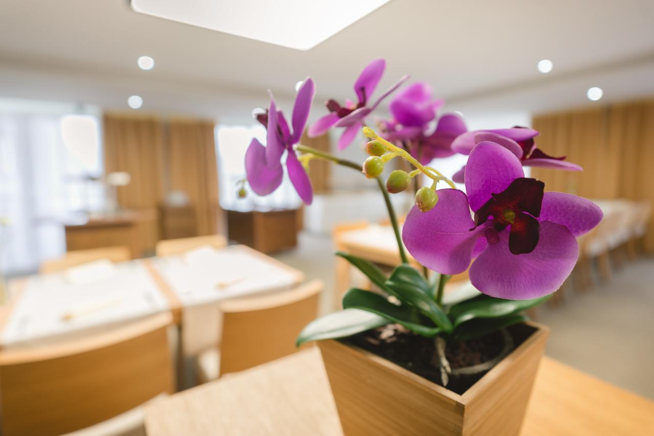 Village Resort Hanuliak Belá Εξωτερικό φωτογραφία